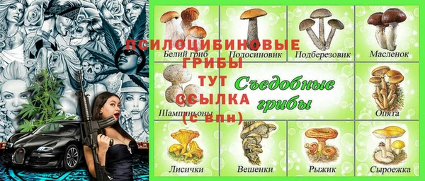 первитин Верхний Тагил