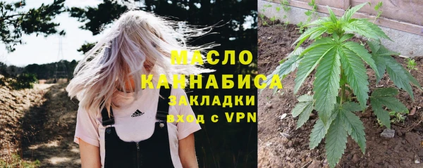 винт Верея